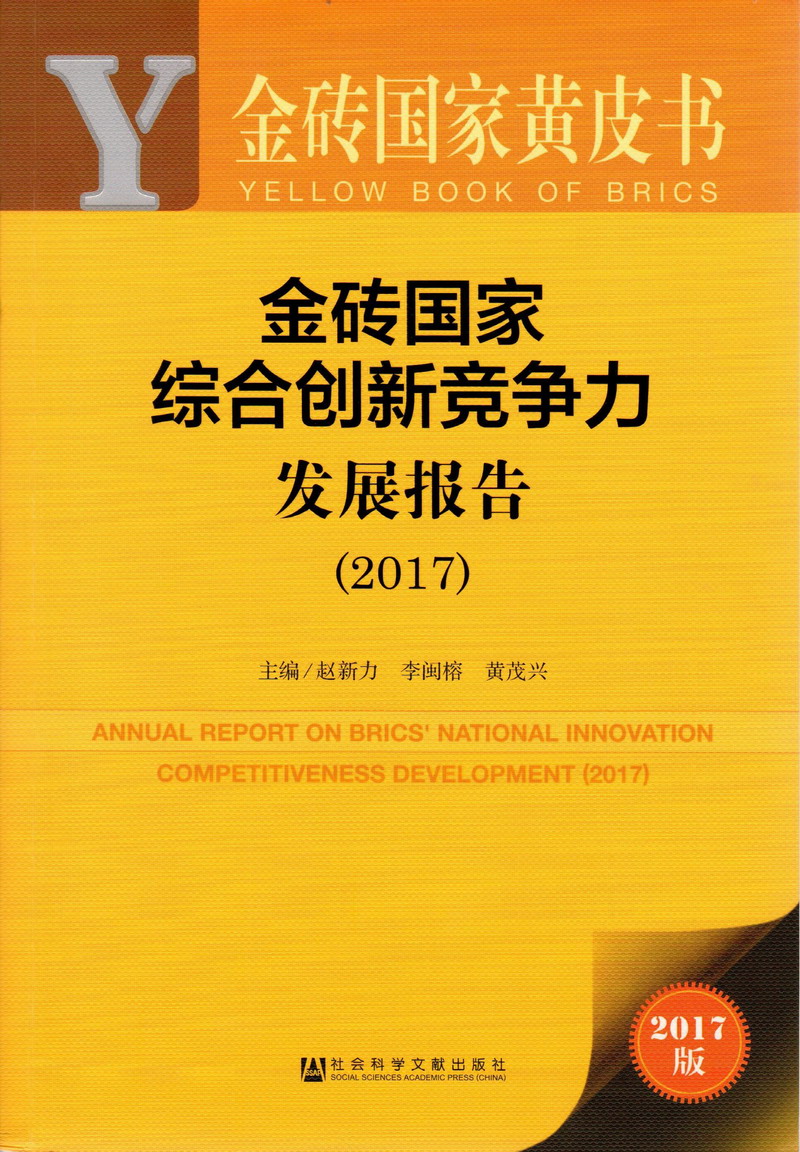 黑屌干白虎嫩穴视频金砖国家综合创新竞争力发展报告（2017）